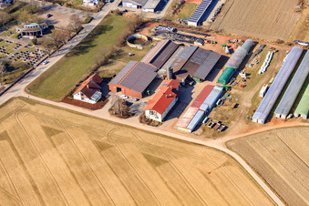 Blacksmith's yard in Neupotz in the state Rhineland-Palatinate, Germany from above