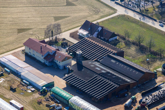 Blacksmith's farm and guesthouse Neupotz in Neupotz in the state Rhineland-Palatinate, Germany out of the air