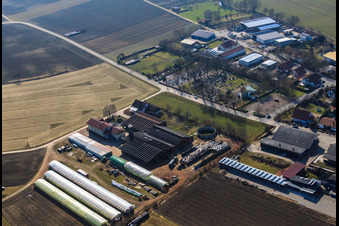 Blacksmith's farm and guesthouse Neupotz in Neupotz in the state Rhineland-Palatinate, Germany seen from above