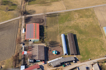 Stables at Oberdorf in Rheinzabern in the state Rhineland-Palatinate, Germany from above