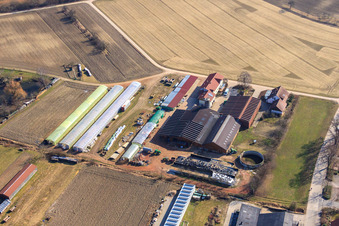 Blacksmith's farm and guesthouse Neupotz in Neupotz in the state Rhineland-Palatinate, Germany from the plane
