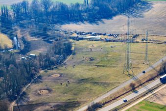 Horse pastures near the Wanzheim Mill in Rheinzabern in the state Rhineland-Palatinate, Germany