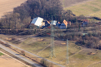 Aerial view of Horse pastures near the Wanzheim Mill in Rheinzabern in the state Rhineland-Palatinate, Germany