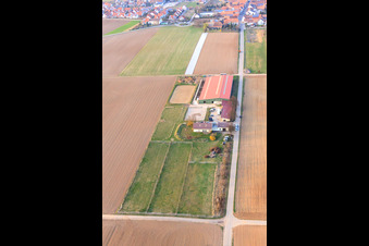 Equestrian center Fohlenhof in Steinweiler in the state Rhineland-Palatinate, Germany seen from a drone