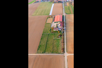 Aerial view of Equestrian center Fohlenhof in Steinweiler in the state Rhineland-Palatinate, Germany