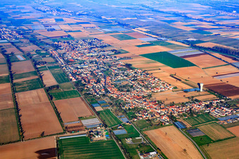 Aerial view of View of the town from the east in the district Niederlustadt in Lustadt in the state Rhineland-Palatinate, Germany