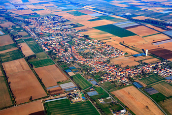 Aerial photograpy of View of the town from the east in the district Niederlustadt in Lustadt in the state Rhineland-Palatinate, Germany