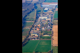 Commercial area Auf der BÜSCHE in the district Niederlustadt in Lustadt in the state Rhineland-Palatinate, Germany