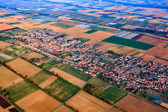 View from the southeast in the district Niederlustadt in Lustadt in the state Rhineland-Palatinate, Germany