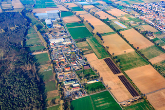 Aerial view of Commercial area Auf der BÜSCHE in the district Niederlustadt in Lustadt in the state Rhineland-Palatinate, Germany