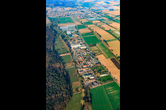 Aerial photograpy of Commercial area Auf der BÜSCHE in the district Niederlustadt in Lustadt in the state Rhineland-Palatinate, Germany