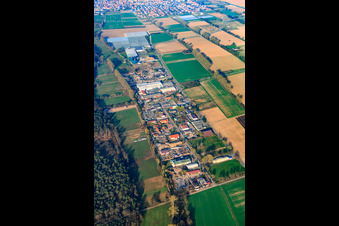 Oblique view of Commercial area Auf der BÜSCHE in the district Niederlustadt in Lustadt in the state Rhineland-Palatinate, Germany
