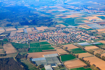 Aerial view of View of the town from the east in Zeiskam in the state Rhineland-Palatinate, Germany