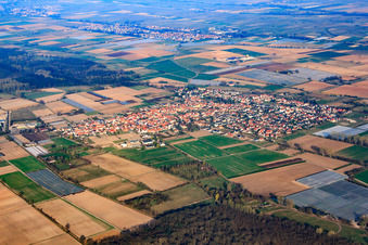 Aerial photograpy of View of the town from the east in Zeiskam in the state Rhineland-Palatinate, Germany