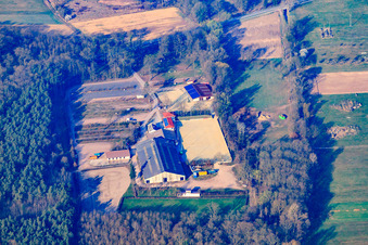 Riding and Driving Club Zeiskam eV in Zeiskam in the state Rhineland-Palatinate, Germany