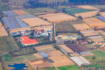 Industrial estate in Sauheide on the Druslach with Bührmann Weine GmbH in Zeiskam in the state Rhineland-Palatinate, Germany