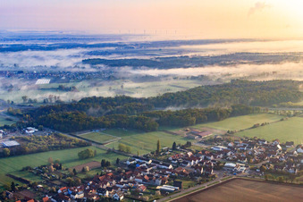 Erlenbachtal in the early morning mist in the district Minderslachen in Kandel in the state Rhineland-Palatinate, Germany
