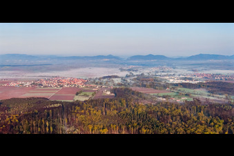 Village view in the morning mist from the east in Steinweiler in the state Rhineland-Palatinate, Germany