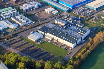 LANDAU OST industrial area with Rose Druck GmbH in Landau in der Pfalz in the state Rhineland-Palatinate, Germany seen from above