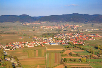 Village view from the east in Kirrweiler in the state Rhineland-Palatinate, Germany