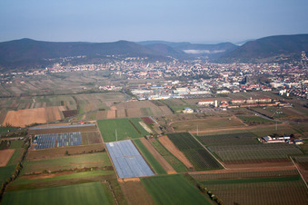 Neustadt an der Weinstraße in the state Rhineland-Palatinate, Germany viewn from the air