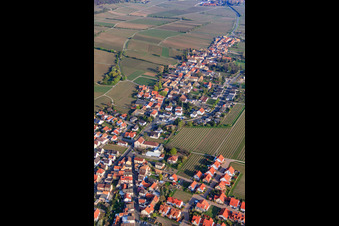 Weinstr in Forst an der Weinstraße in the state Rhineland-Palatinate, Germany