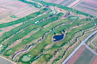 Aerial view of Grounds of the Golf course at Golfgarten Deutsche Weinstrasse in Dackenheim in the state Rhineland-Palatinate