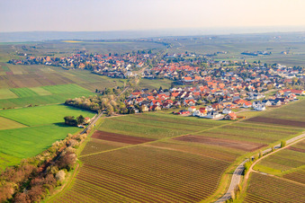 View of the town from the southwest in the district Niederflörsheim in Flörsheim-Dalsheim in the state Rhineland-Palatinate, Germany