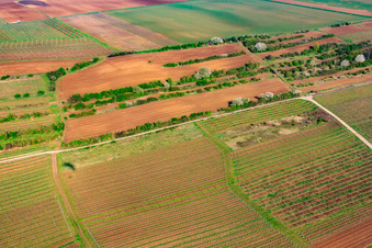 At the Goldberg fountain in the district Dalsheim in Flörsheim-Dalsheim in the state Rhineland-Palatinate, Germany