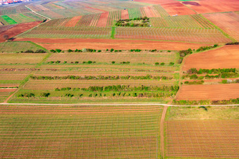 Aerial view of At the Goldberg fountain in the district Dalsheim in Flörsheim-Dalsheim in the state Rhineland-Palatinate, Germany