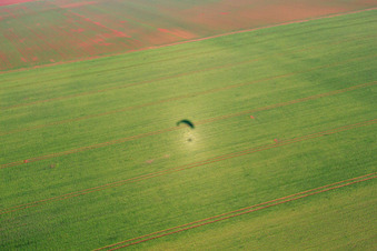 Shadow on field in the district Dalsheim in Flörsheim-Dalsheim in the state Rhineland-Palatinate, Germany