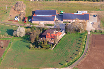 Asparagus sale Simmel in Ober-Flörsheim in the state Rhineland-Palatinate, Germany