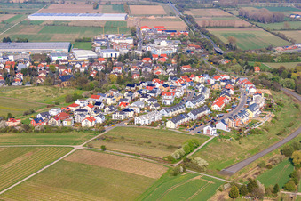 New development area Rosetta-Vogt-Straße in Bodenheim in the state Rhineland-Palatinate, Germany