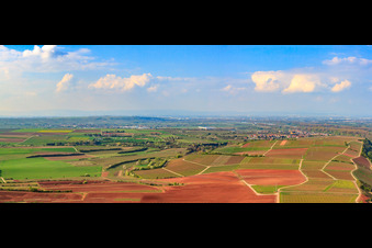 Vineyards Alte Mistkaut, Hahlreuz and Rheinhahl above the Rhine in Nackenheim in the state Rhineland-Palatinate, Germany