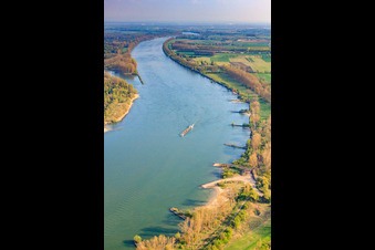 Cargo ship on the Rhine at the NATO ramp Ludwigshöhe in Ludwigshöhe in the state Rhineland-Palatinate, Germany
