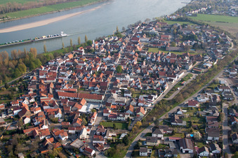 Village on the river bank areas of the Rhine river in the district Rheinduerkheim in Worms in the state Rhineland-Palatinate, Germany