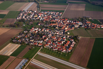 Kleinniedesheim in the state Rhineland-Palatinate, Germany