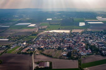 Oblique view of Heuchelheim bei Frankenthal in the state Rhineland-Palatinate, Germany