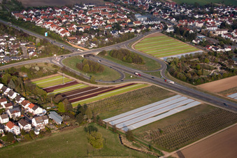 District Schauernheim in Dannstadt-Schauernheim in the state Rhineland-Palatinate, Germany from above