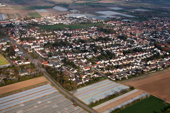 Oblique view of District Dannstadt in Dannstadt-Schauernheim in the state Rhineland-Palatinate, Germany