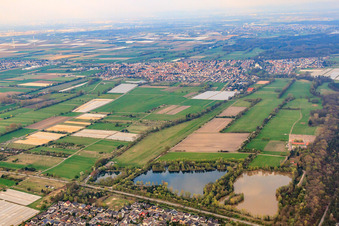 View of the town from the west in the district Iggelheim in Böhl-Iggelheim in the state Rhineland-Palatinate, Germany