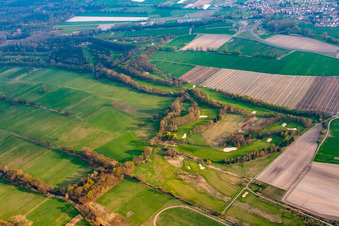 Oblique view of Golf course of the Golf Club Pfalz in the district Geinsheim in Neustadt an der Weinstraße in the state Rhineland-Palatinate, Germany