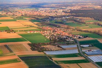 Village view from the west in Herxheimweyher in the state Rhineland-Palatinate, Germany