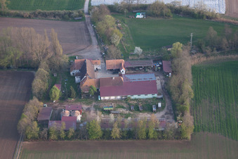 Leistenmühle from the north in Erlenbach bei Kandel in the state Rhineland-Palatinate, Germany