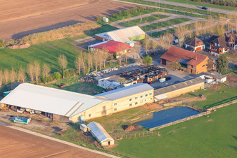 Adamshof, after the fire in the Easter egg painting hall in Kandel in the state Rhineland-Palatinate, Germany