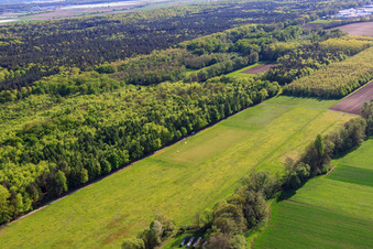 MSC model airfield Rülzheim in Rülzheim in the state Rhineland-Palatinate, Germany