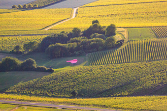 Balloon landing on the B38 in the district Ingenheim in Billigheim-Ingenheim in the state Rhineland-Palatinate, Germany