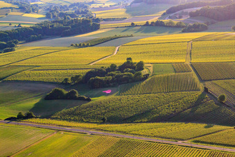 Aerial view of Balloon landing on the B38 in the district Ingenheim in Billigheim-Ingenheim in the state Rhineland-Palatinate, Germany