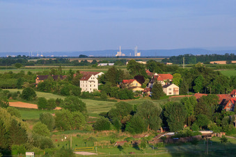 In Billigheimer Bruch in Hergersweiler in the state Rhineland-Palatinate, Germany