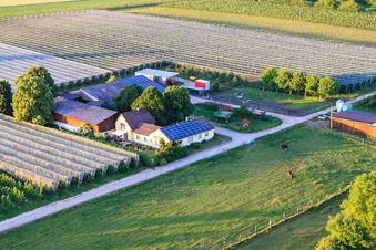 Asparagus and Obsthof Gensheimer in Steinweiler in the state Rhineland-Palatinate, Germany from the plane